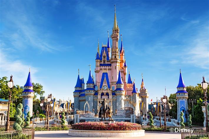 ☆ディズニー　ワールド　テーマパーク　アート　マジックキングダム　エプコット WDW初心者おすすめ ウォルトディズニーワールド4つのパークを